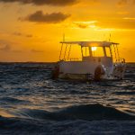 草草地址 9a31cocmws