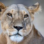 草莓视污 f8pydrt